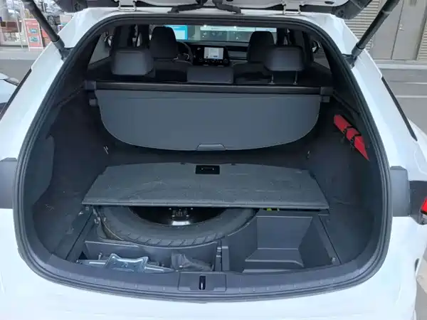 Lexus RX 2024