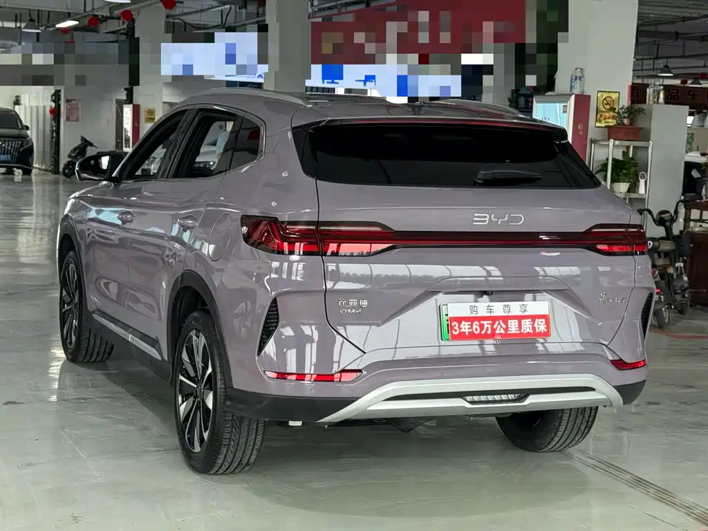 BYD PLUS New Energy 2024 — фото 5