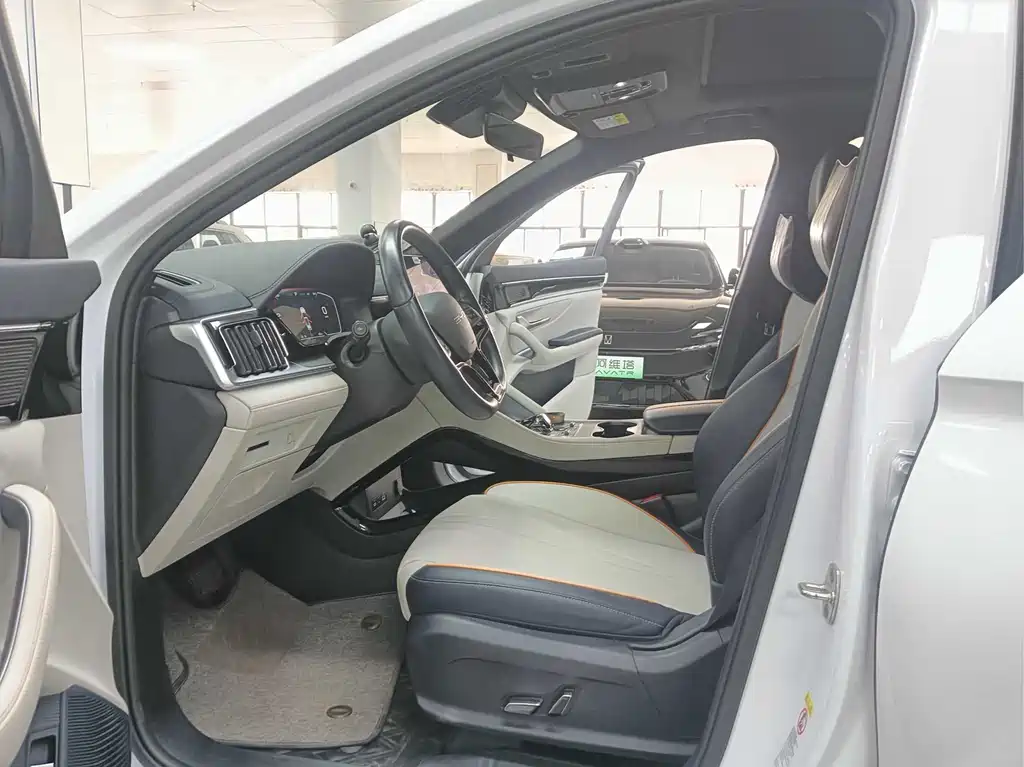 BYD PLUS New Energy 2023 — фото 4