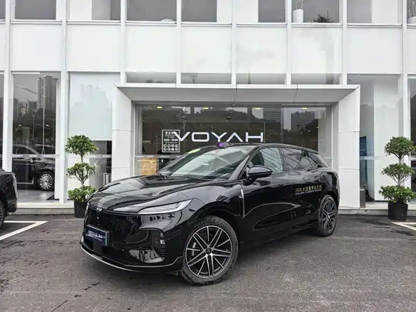 Voyah Zhiyin 2025