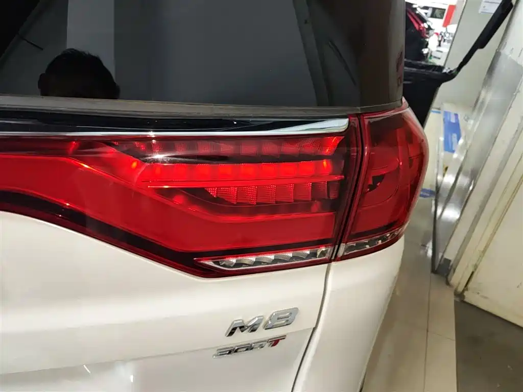 GAC Motor Trumpchi M8 2023 — фото 8