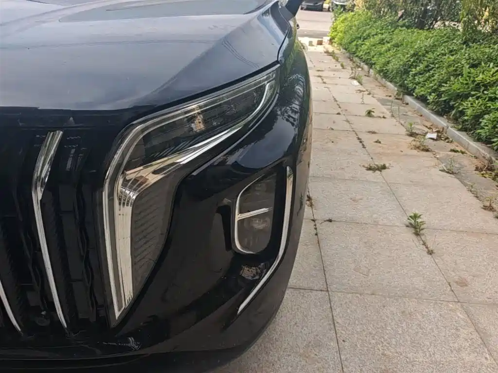 Hongqi HS7 PHEV 2024 — фото 24