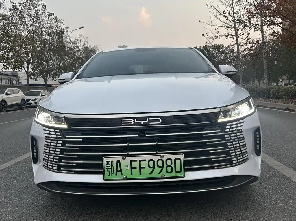 BYD Destroyer 05 2024 — фото 2