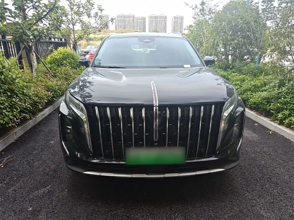 Hongqi HS7 PHEV 2024 — фото 3