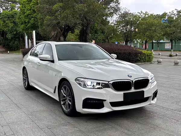 BMW 5 Series 2019