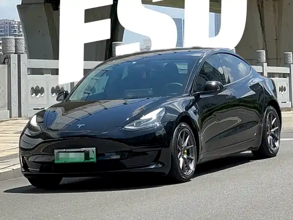 Tesla Model 3 2021