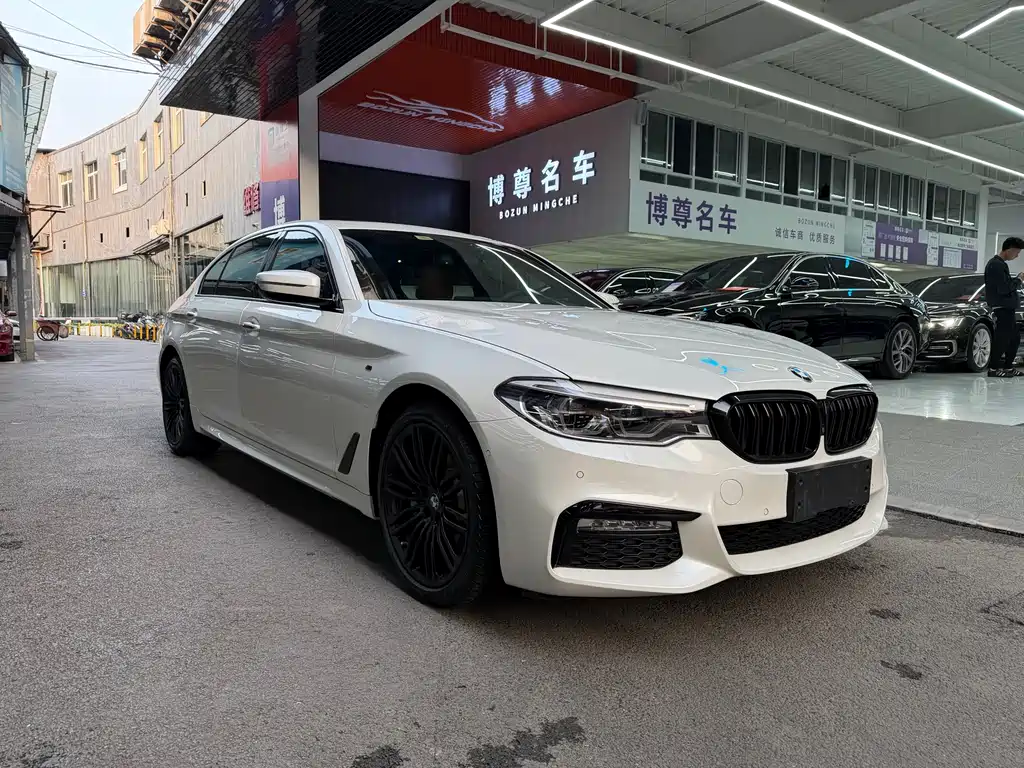BMW 5 Series 2017 — фото 3