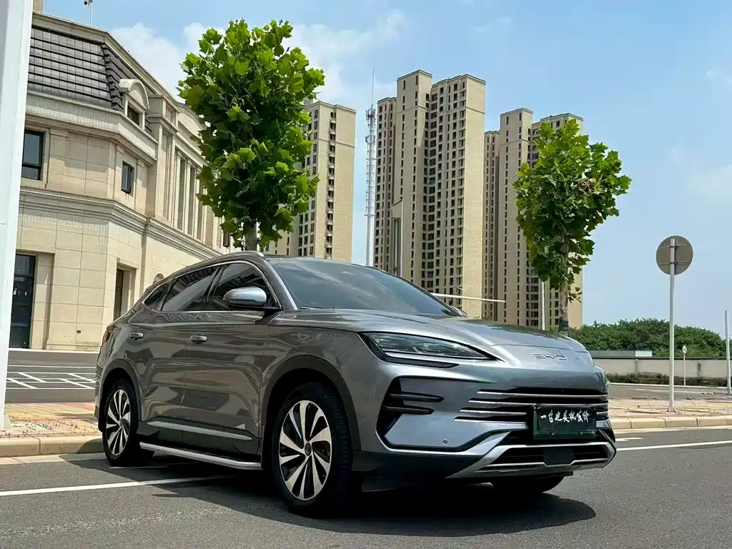 BYD PLUS New Energy 2024 — фото 2