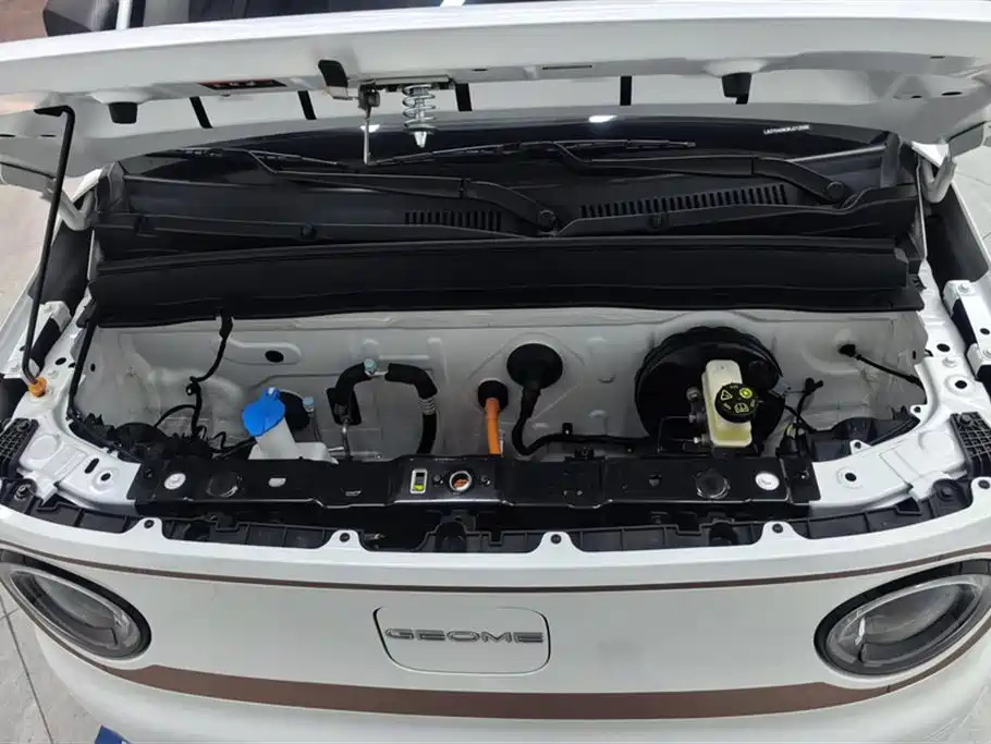 Geely Galaxy Panda 2024 — фото 10