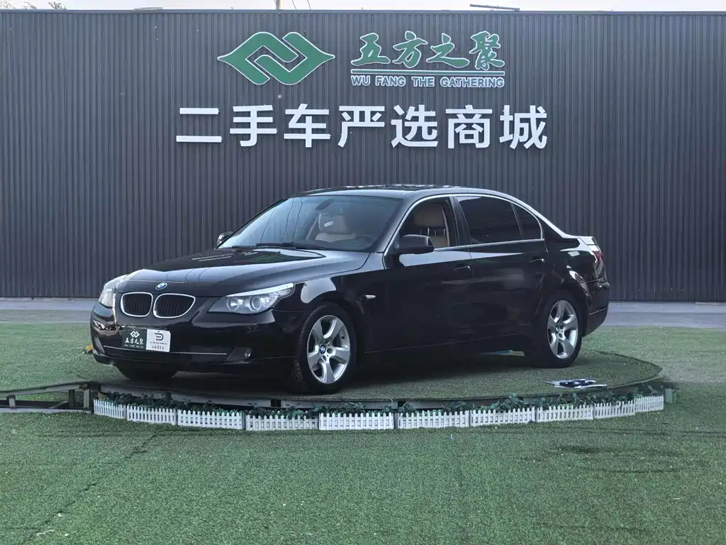 BMW 5 Series 2010