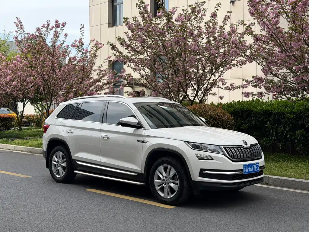 Skoda Kodiaq 2018 — фото 7