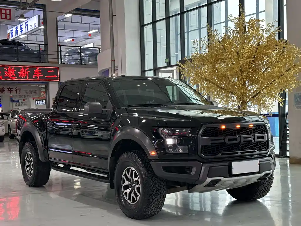Ford F-150 Raptor 2018 — фото 3