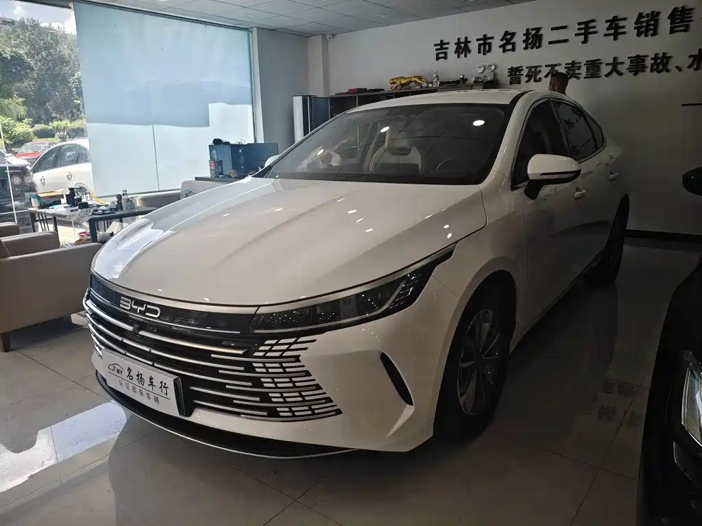 BYD Destroyer 05 2024 — фото 1