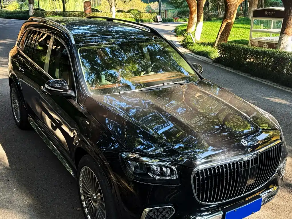 Mercedes-Benz GLS 2023 — фото 1