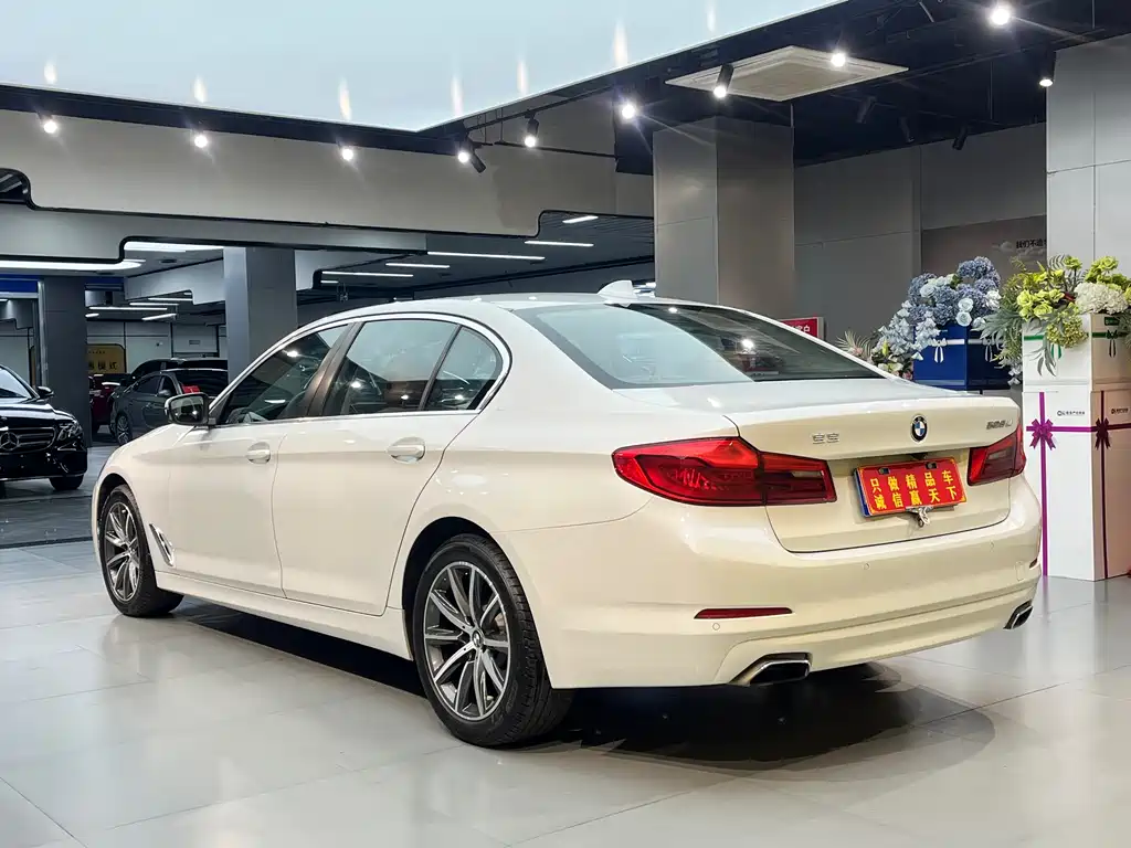 BMW 5 Series 2018 — фото 15