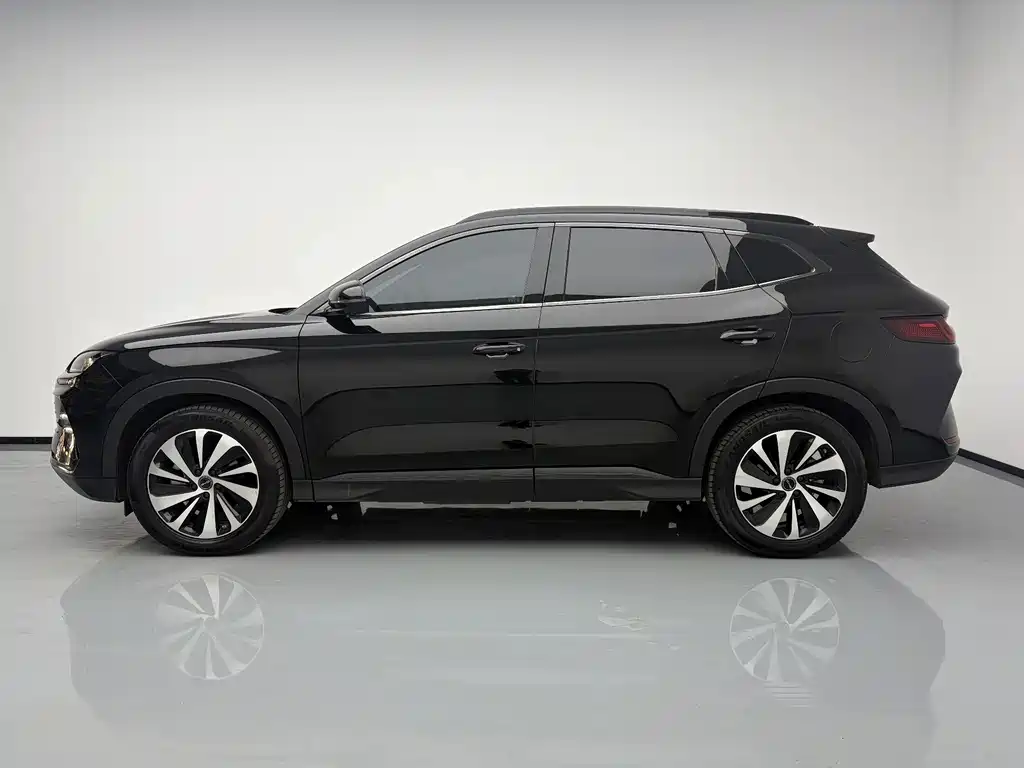 BYD Song PLUS New Energy 2024 — фото 7