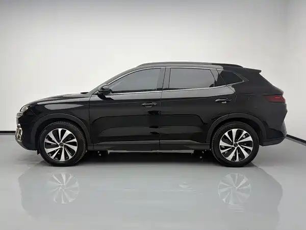 BYD Song PLUS New Energy 2024