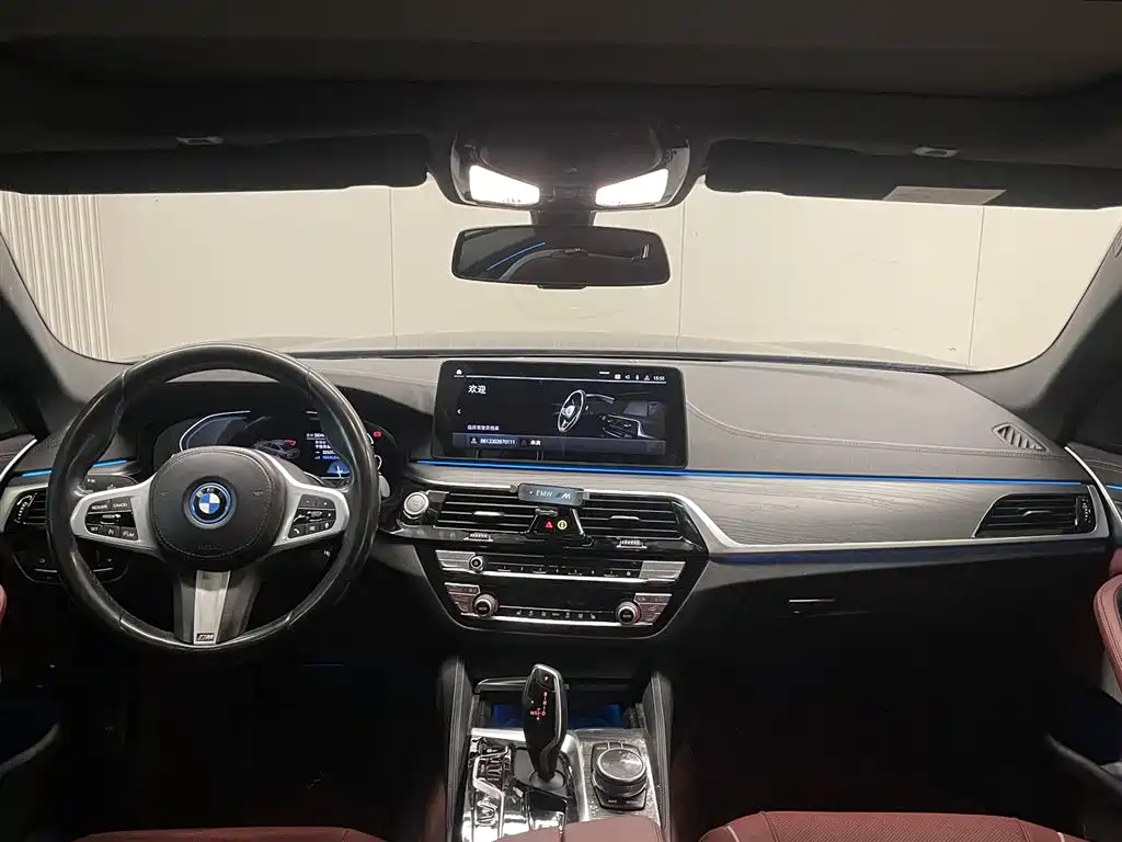 BMW 5 Series New Energy 2021 — фото 12