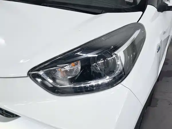 Chery eQ1 2021