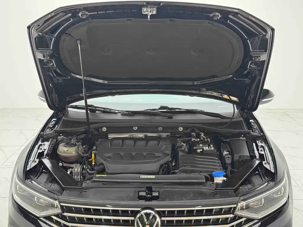 Volkswagen Magotan 2024