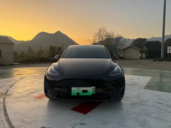 Tesla Model Y 2024