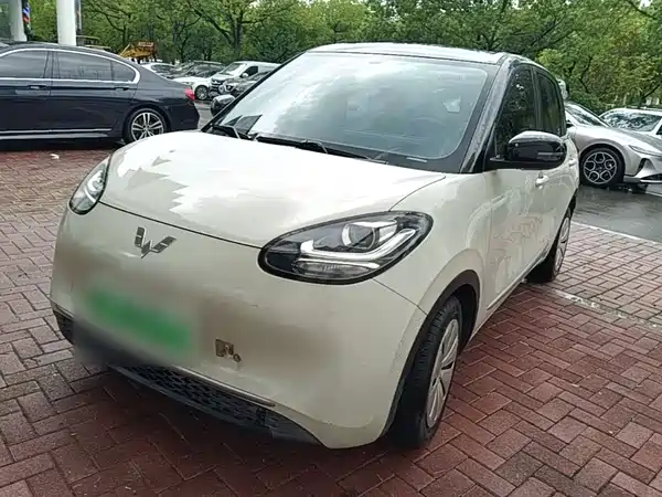 Wuling Bingo 2024