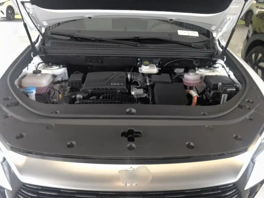BYD Song Pro New Energy 2024 — фото 20