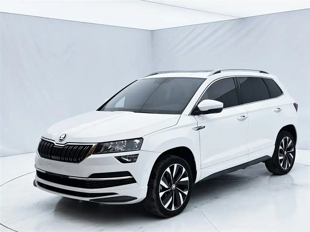 Skoda Karoq 2022 — фото 1