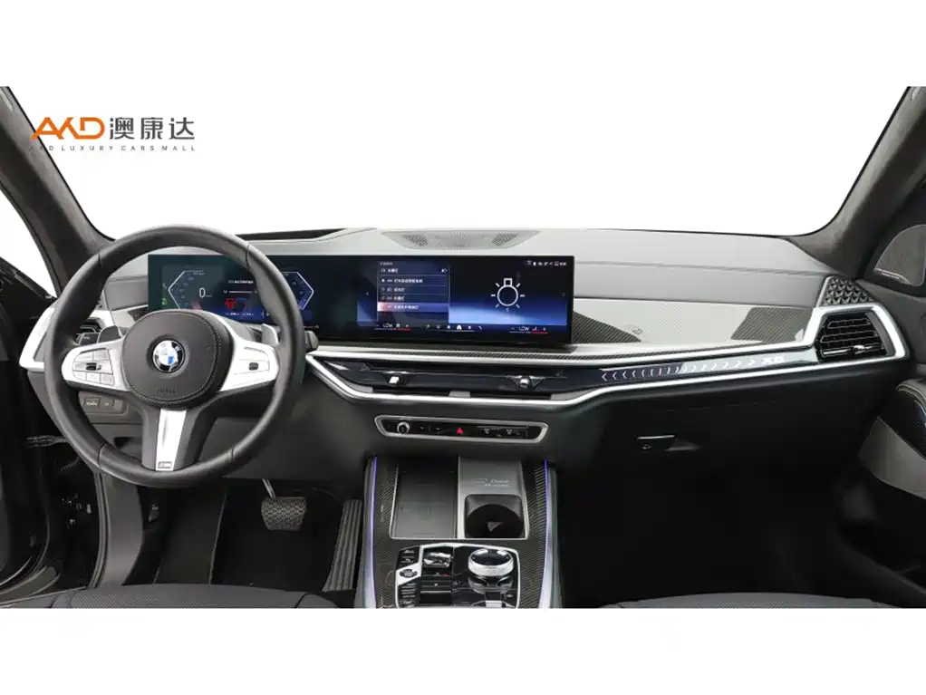 BMW X5 2025