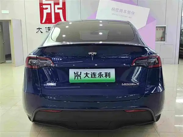 Tesla Model Y 2021