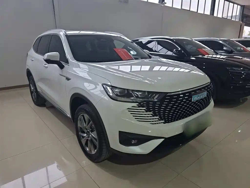 Haval H6 New Energy 2024 — фото 4