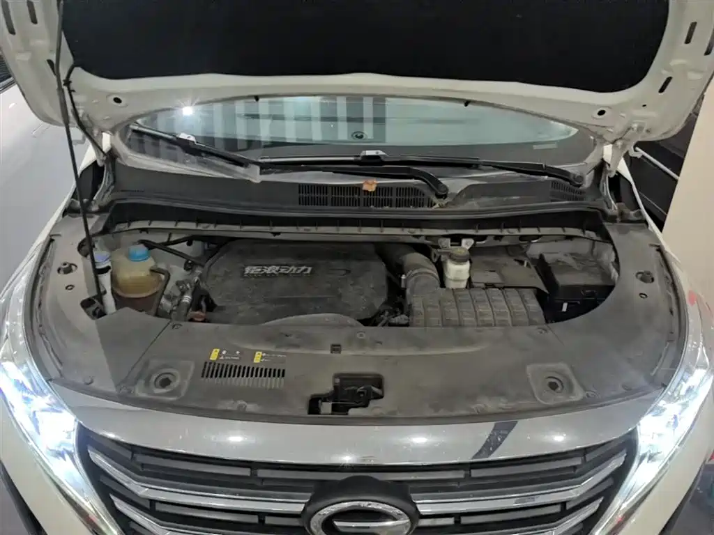 GAC Motor Trumpchi M8 2021 — фото 20