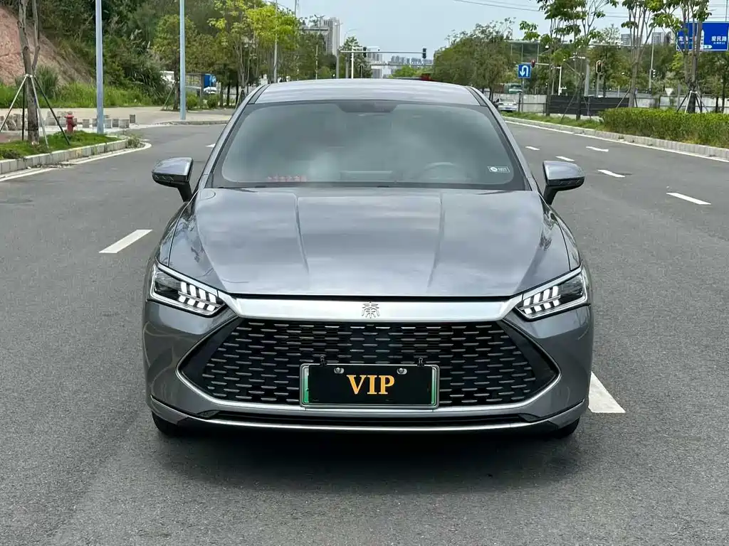 BYD Qin PLUS 2024 — фото 3