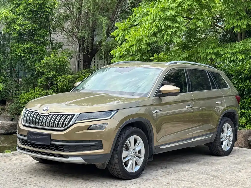 Skoda Kodiaq 2019 — фото 1
