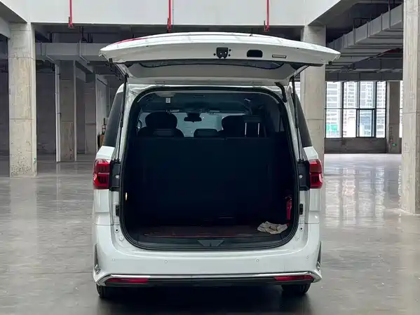 Maxus G20 2025