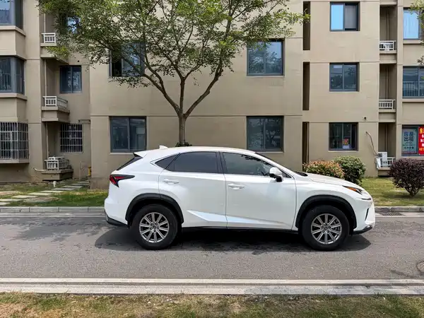 Lexus NX 2019