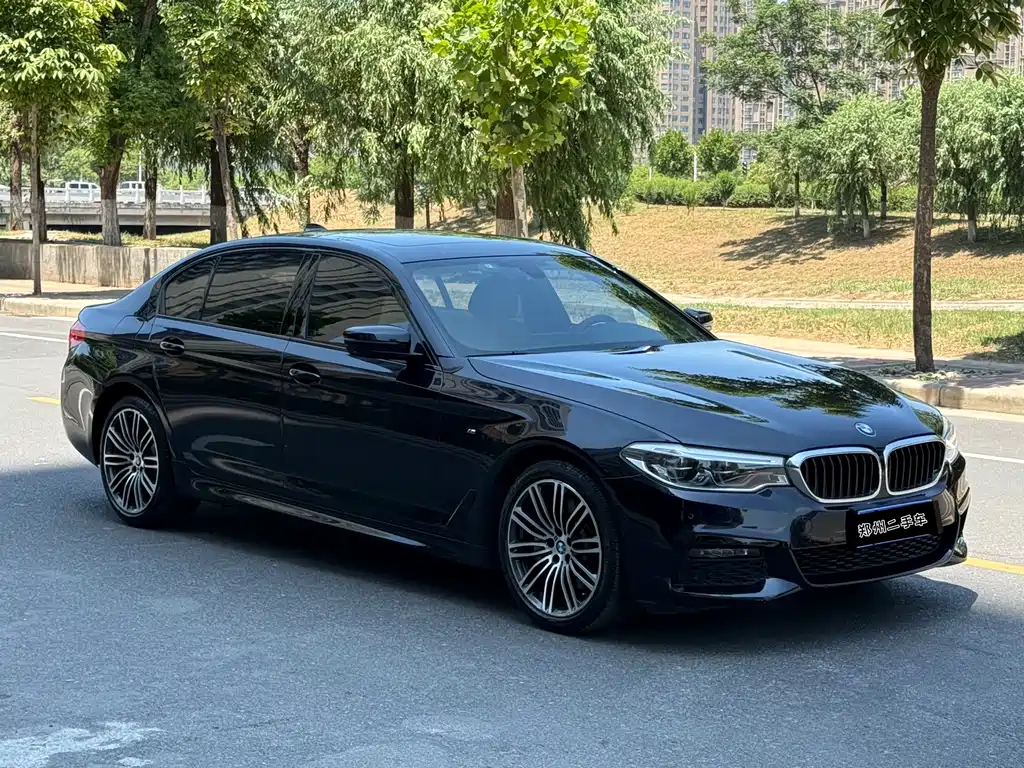 BMW 5 Series 2019