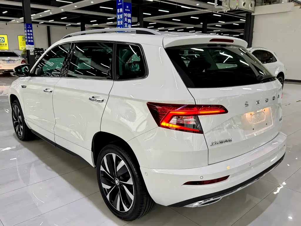 Skoda Karoq 2023 — фото 10