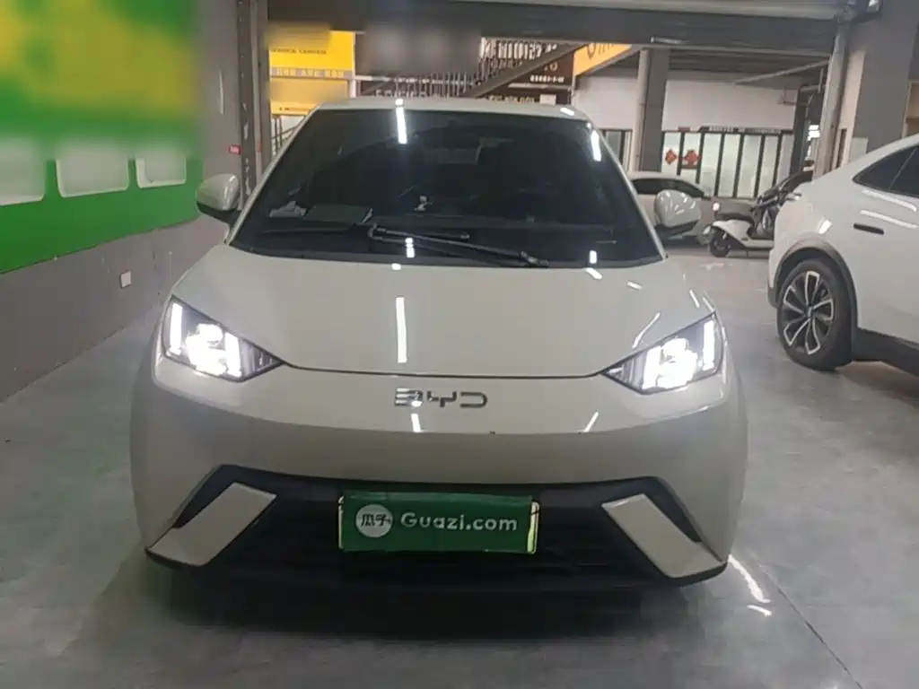 BYD Seagull 2024