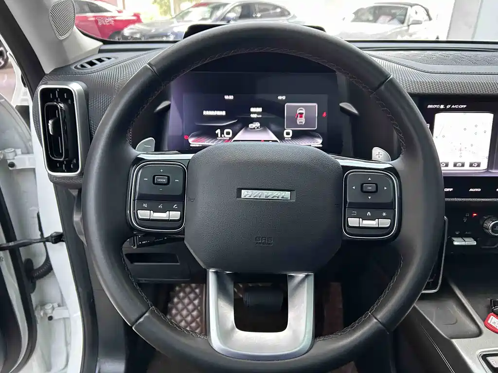 Haval Big Dog 2021 — фото 13