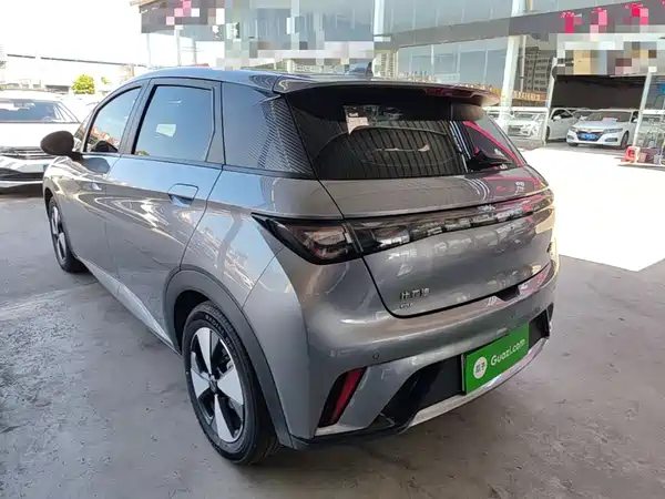 BYD Dolphin 2024