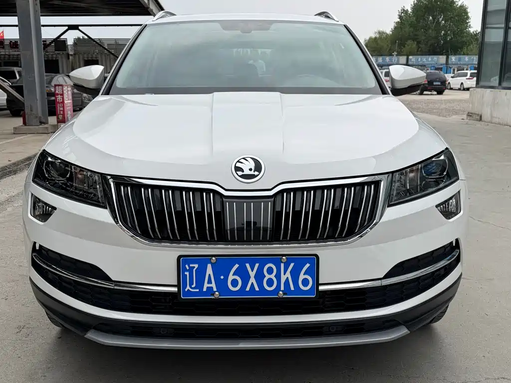 Skoda Karoq 2019 — фото 2