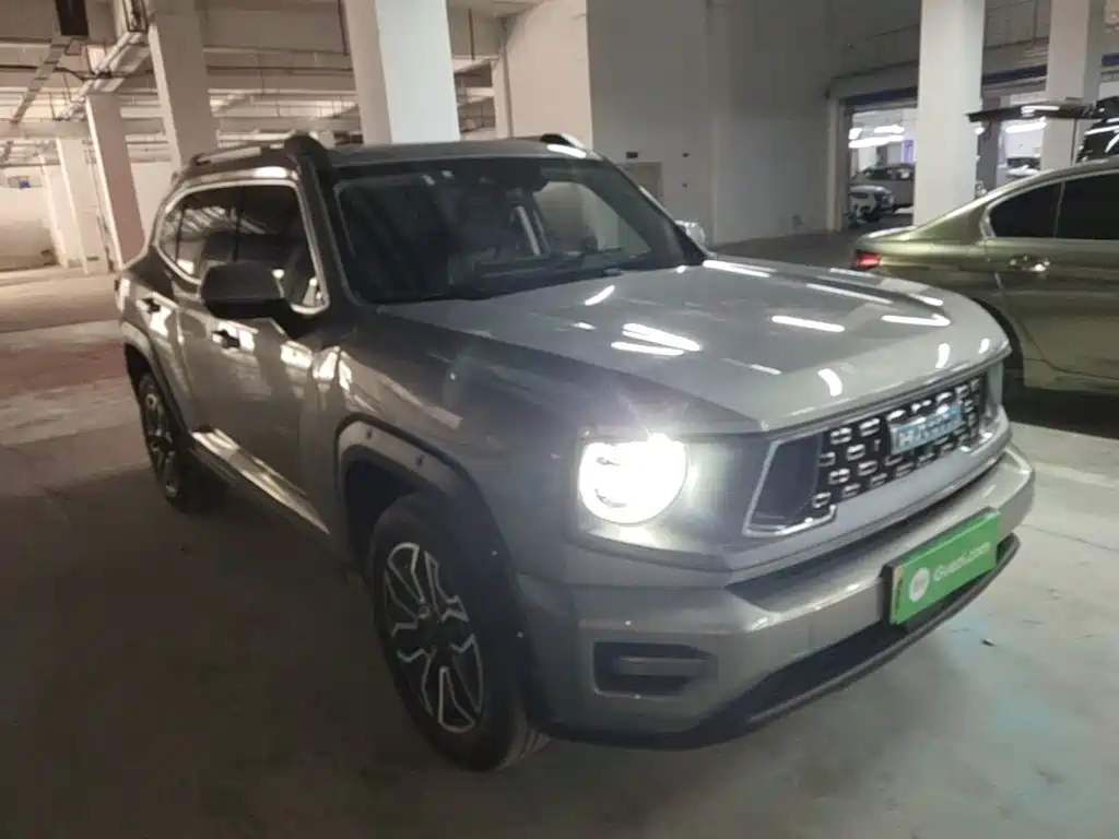 Haval Big Dog PLUS New Energy 2023 — фото 4
