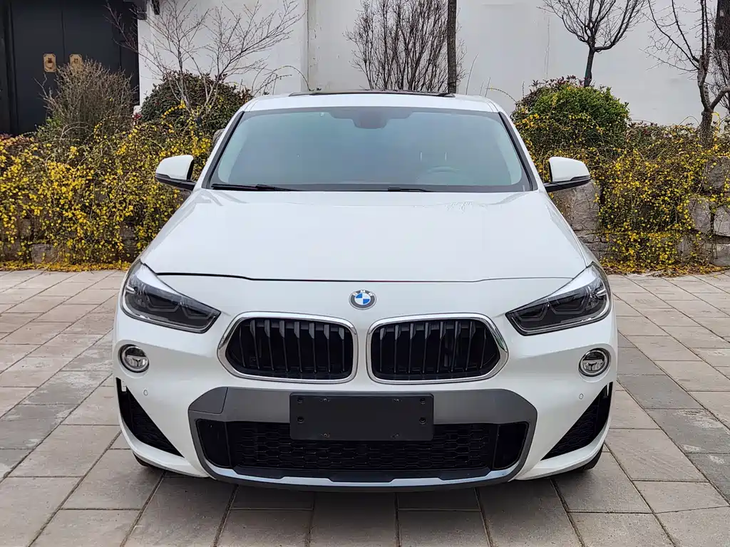 BMW X2 2019 — фото 5