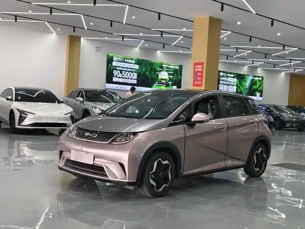 BYD Dolphin 2021