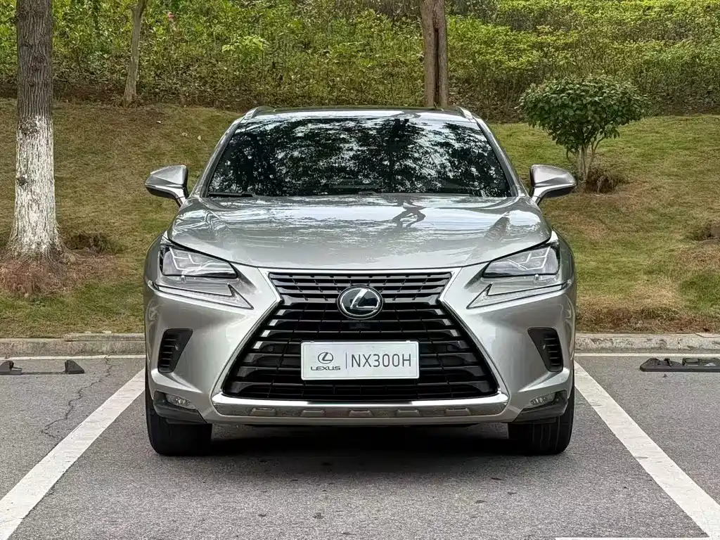 Lexus NX 2021 — фото 2