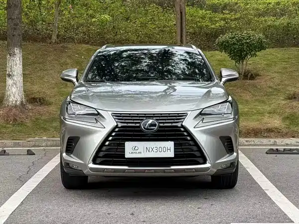 Lexus NX 2021