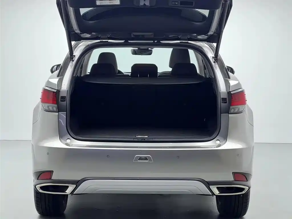 Lexus RX 2021 — фото 16