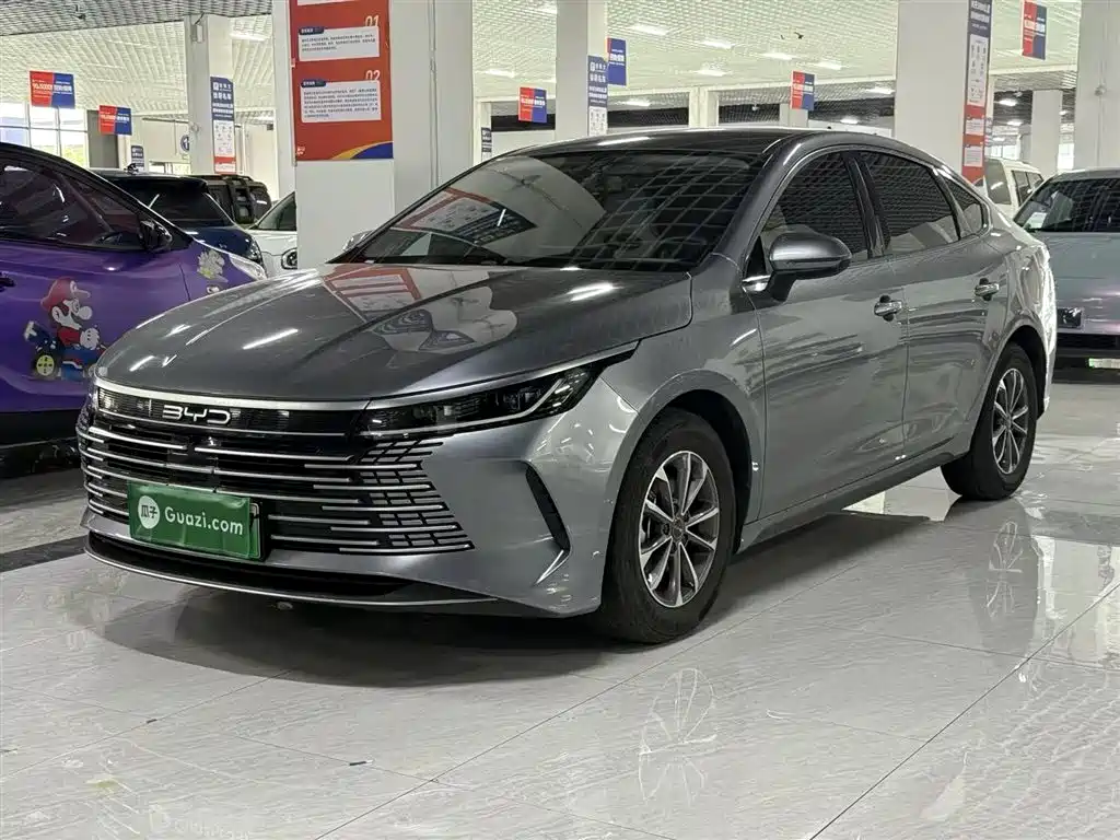 BYD Destroyer 05 2024 — фото 2