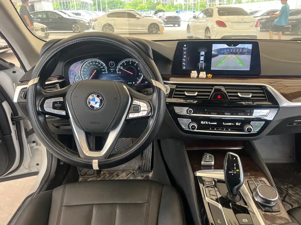 BMW 5 Series 2018 — фото 23